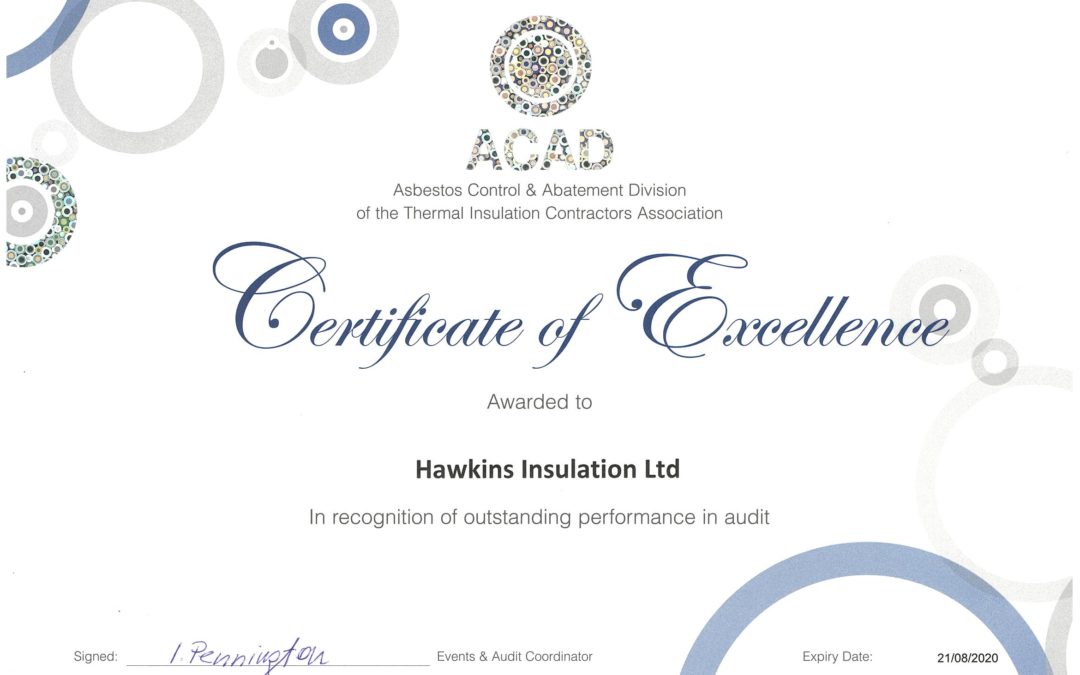Excellence in Audit